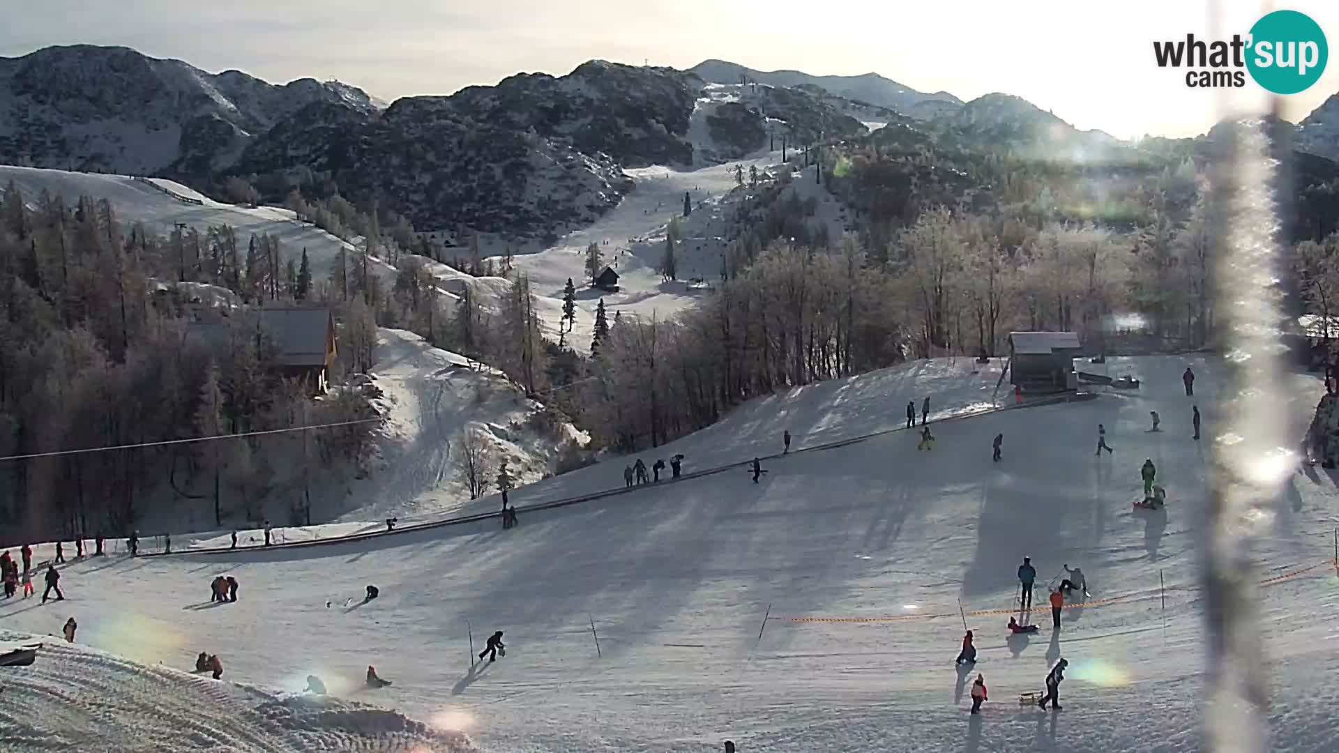 Webcam Ski resort Vogel