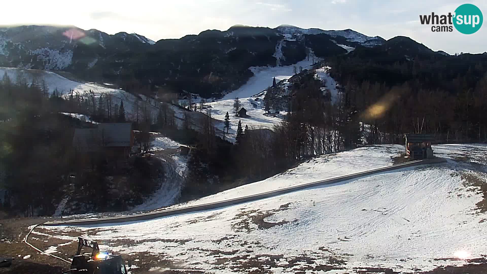 Webcam Skigebiet Vogel