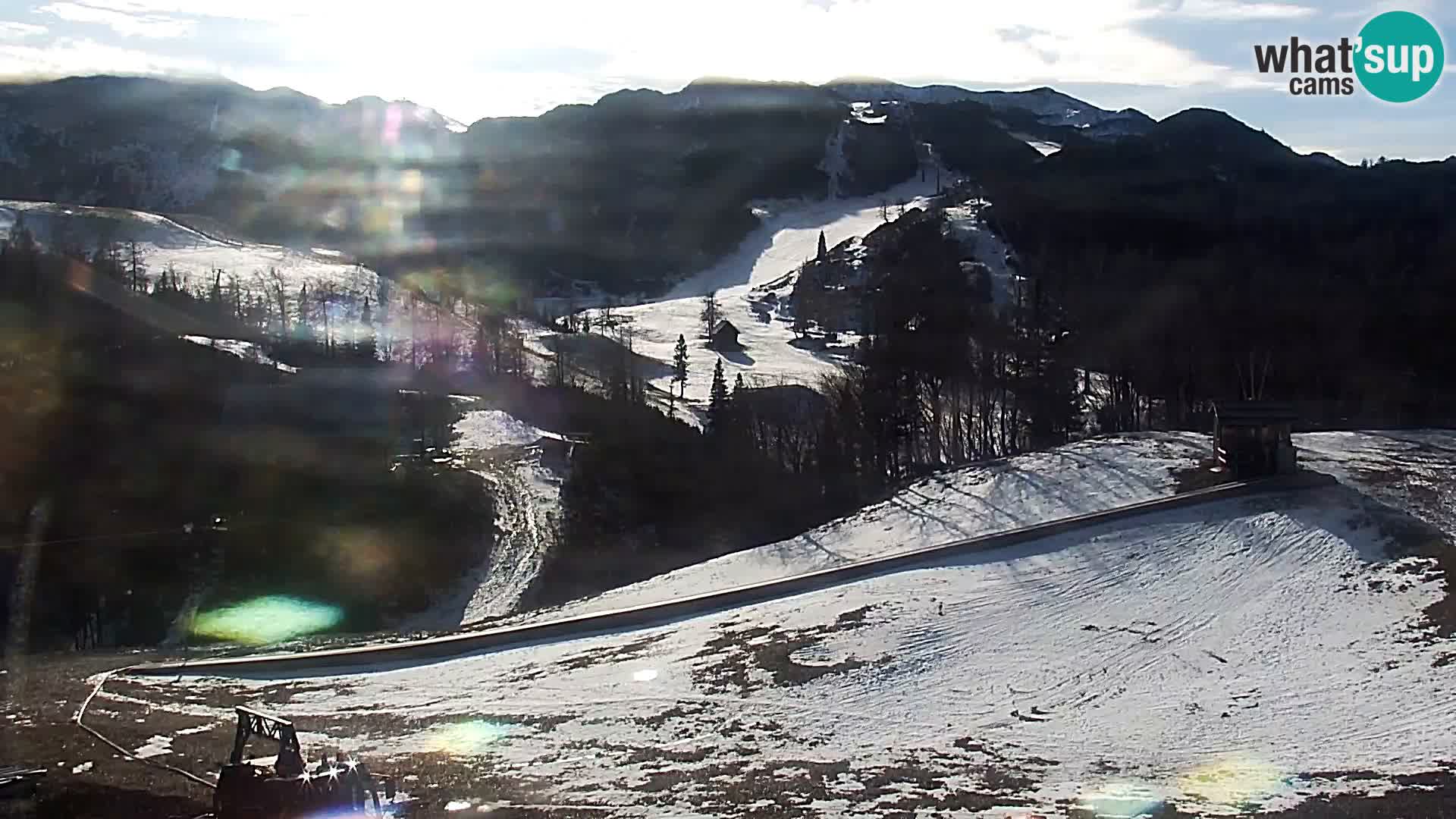 Webcam Skigebiet Vogel