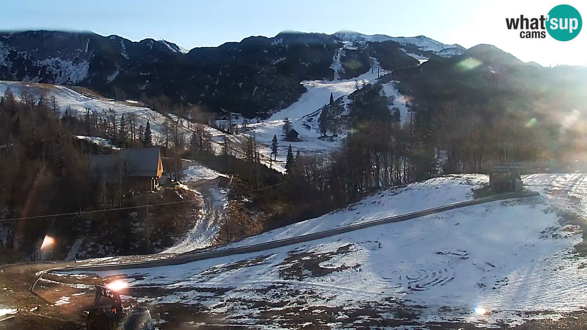 Webcam Skigebiet Vogel