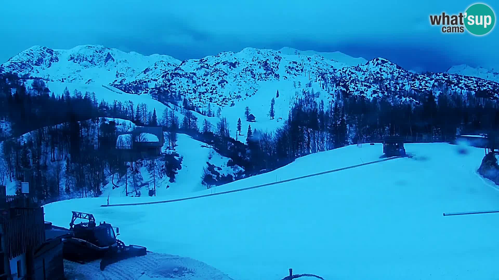 Webcam Skigebiet Vogel