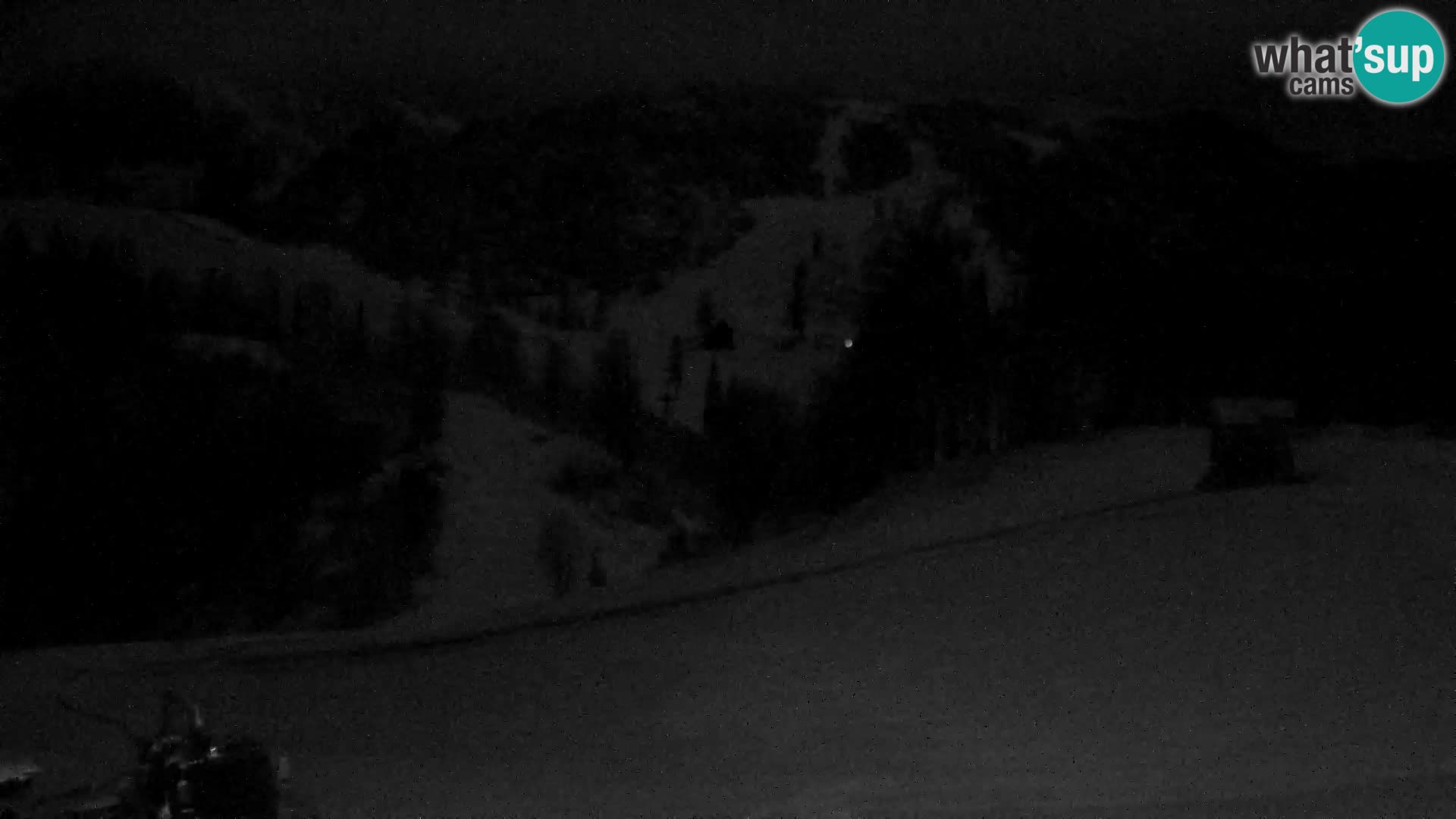 Live cam Station ski Vogel