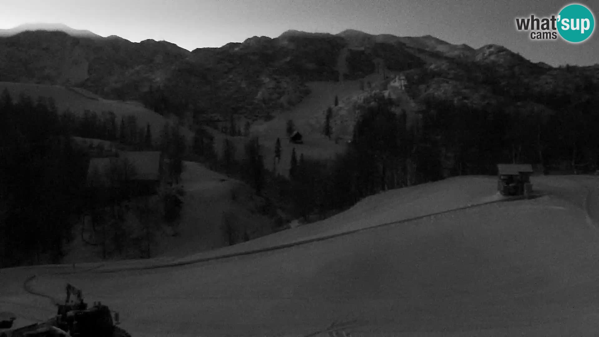 Live cam Station ski Vogel