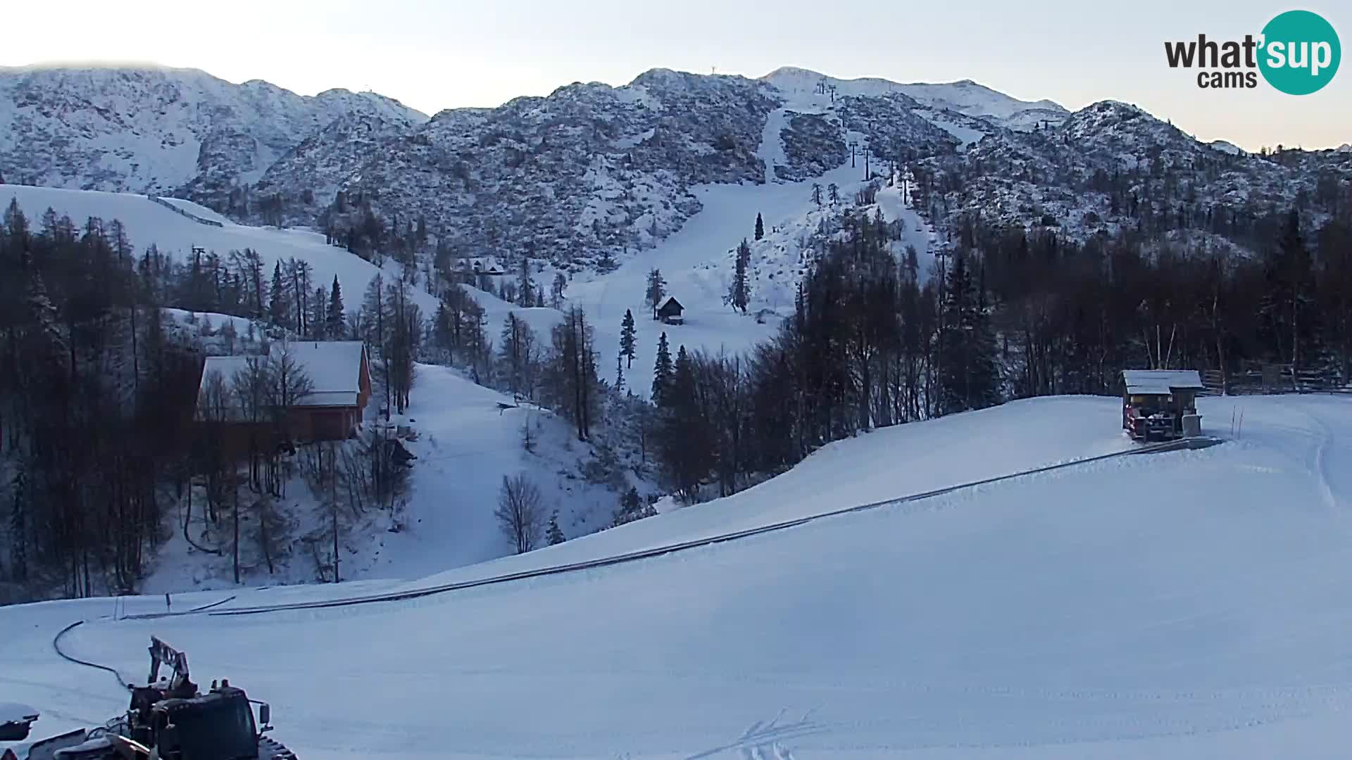 Live cam Station ski Vogel