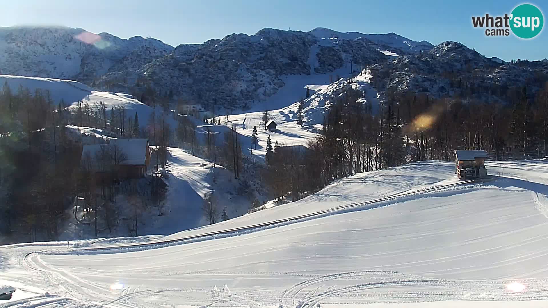 Webcam Skigebiet Vogel