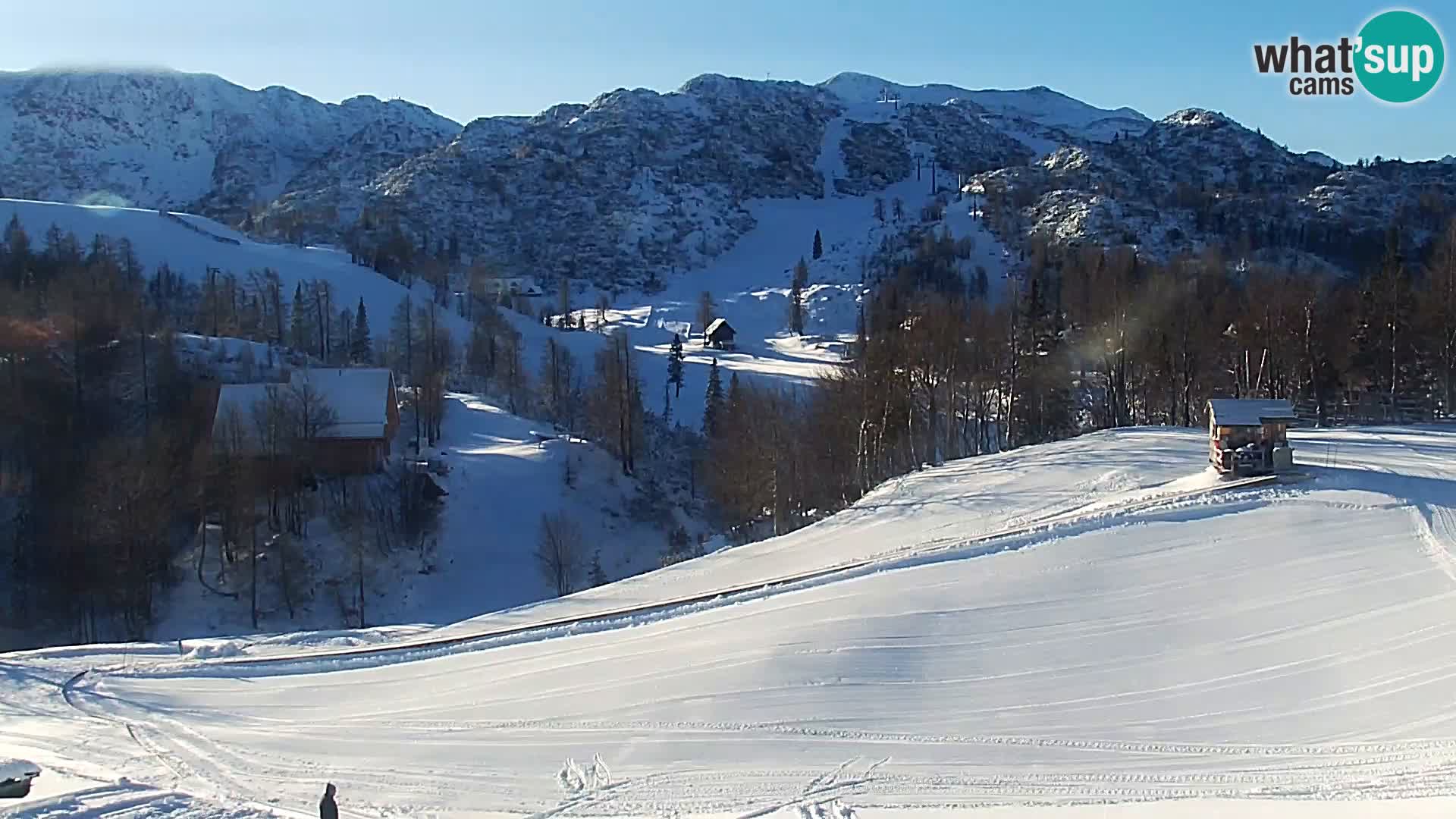 Live cam Station ski Vogel