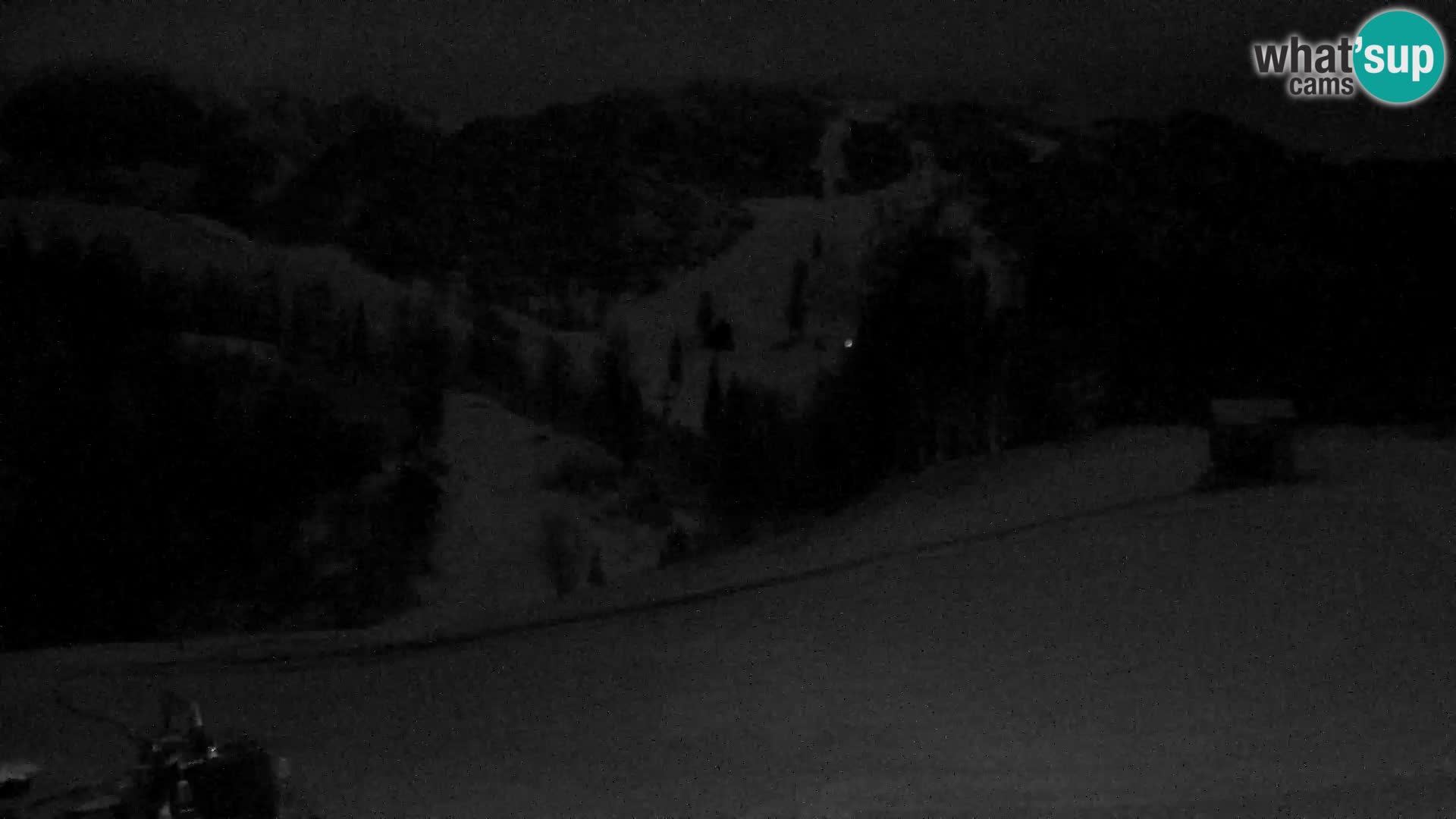 Live cam Station ski Vogel