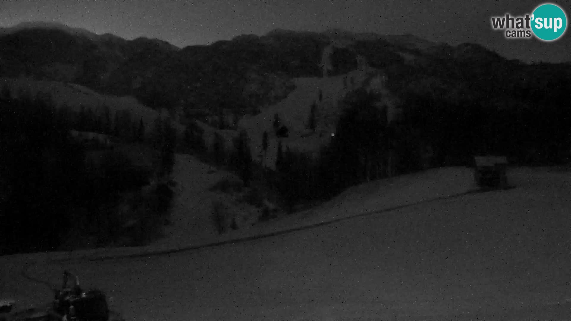 Live cam Station ski Vogel