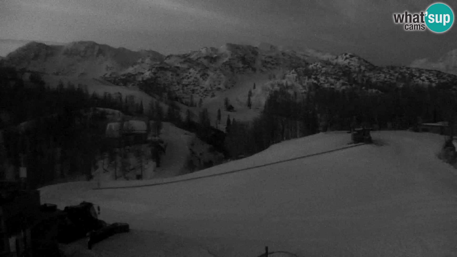 Live cam Station ski Vogel