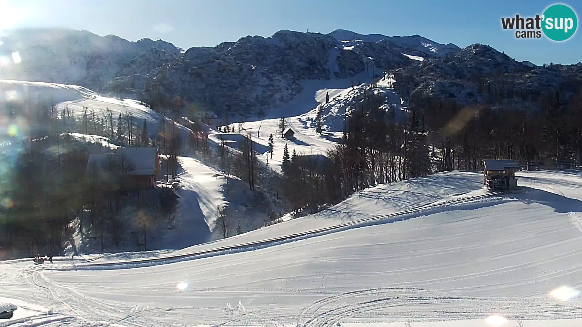 Live cam Station ski Vogel