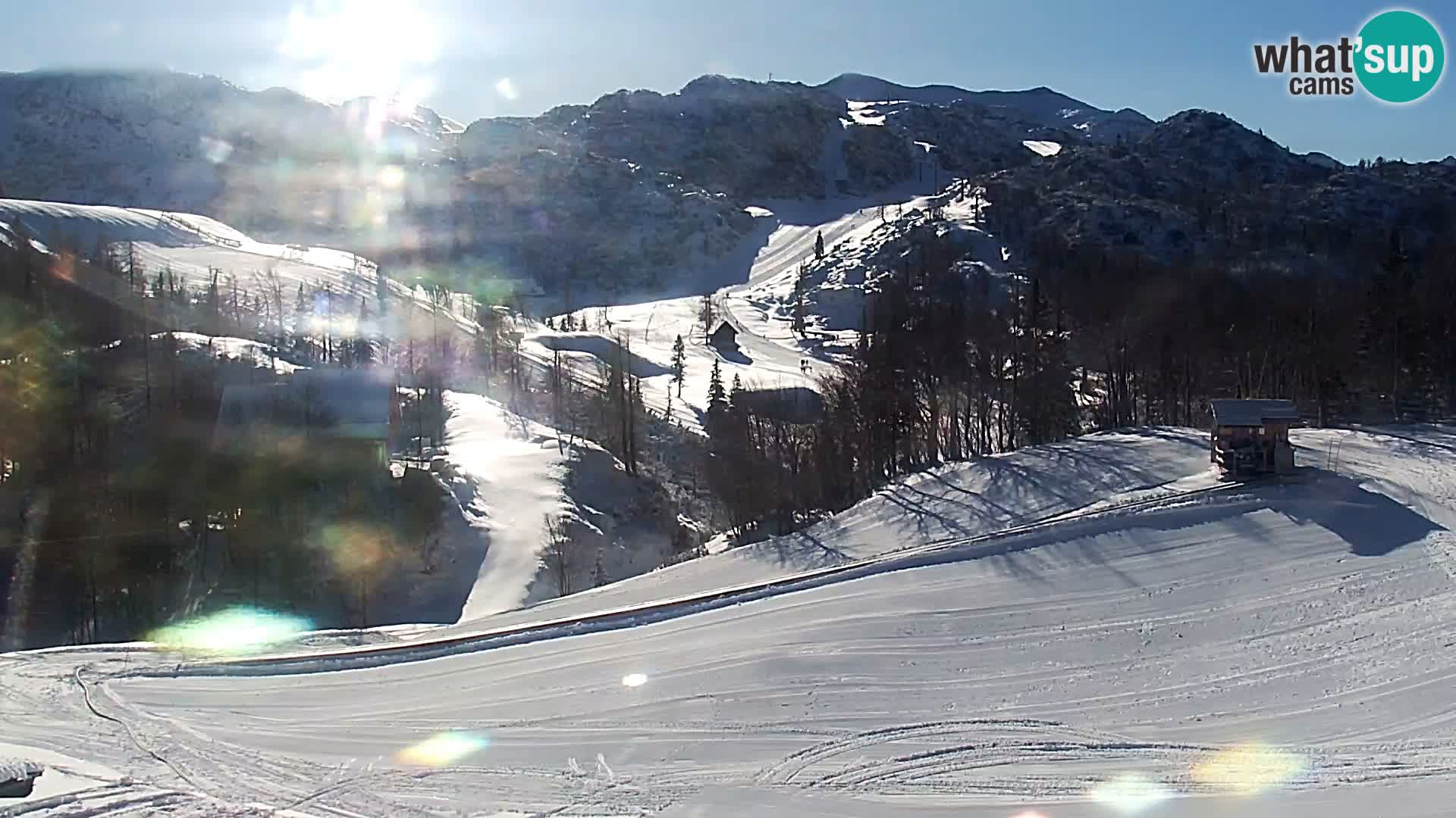 Webcam Ski resort Vogel