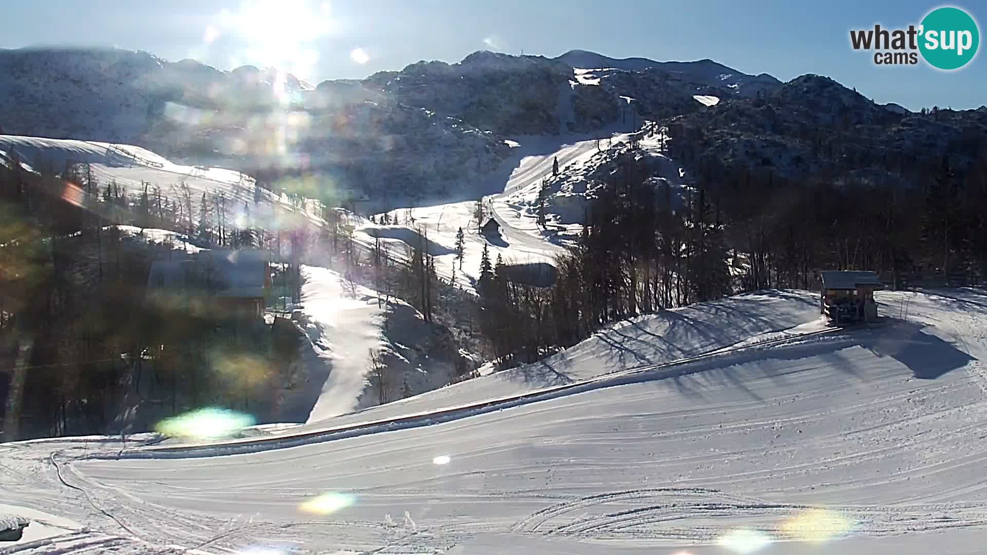 Webcam Skigebiet Vogel