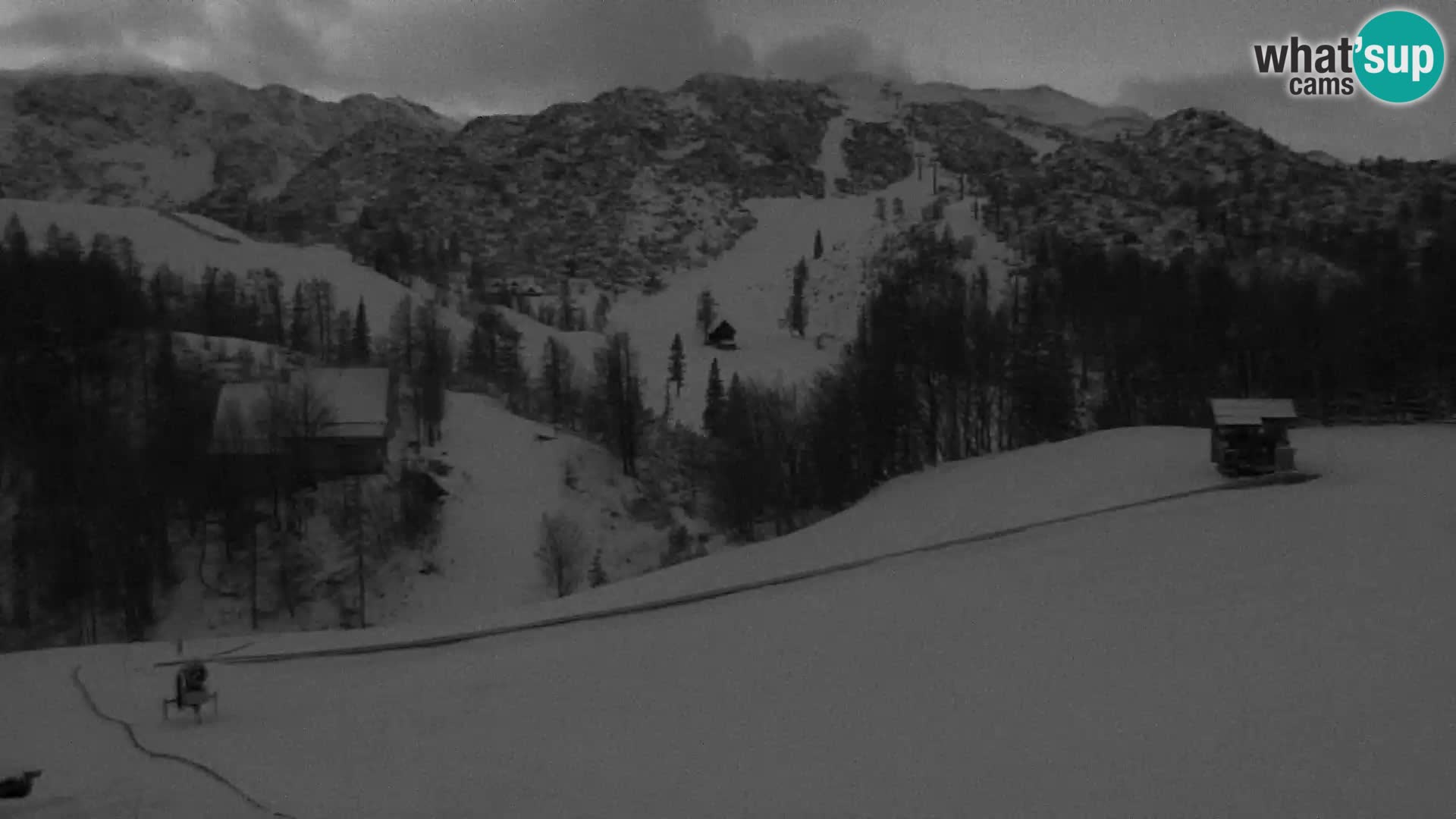 Webcam Ski resort Vogel