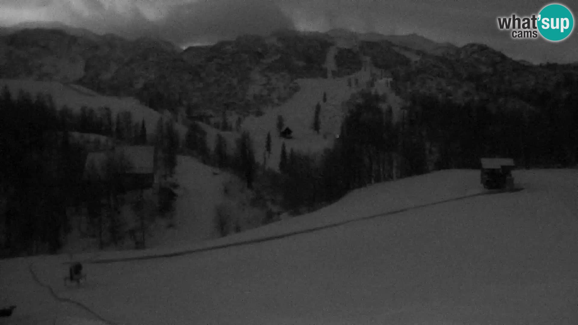 Live cam Station ski Vogel