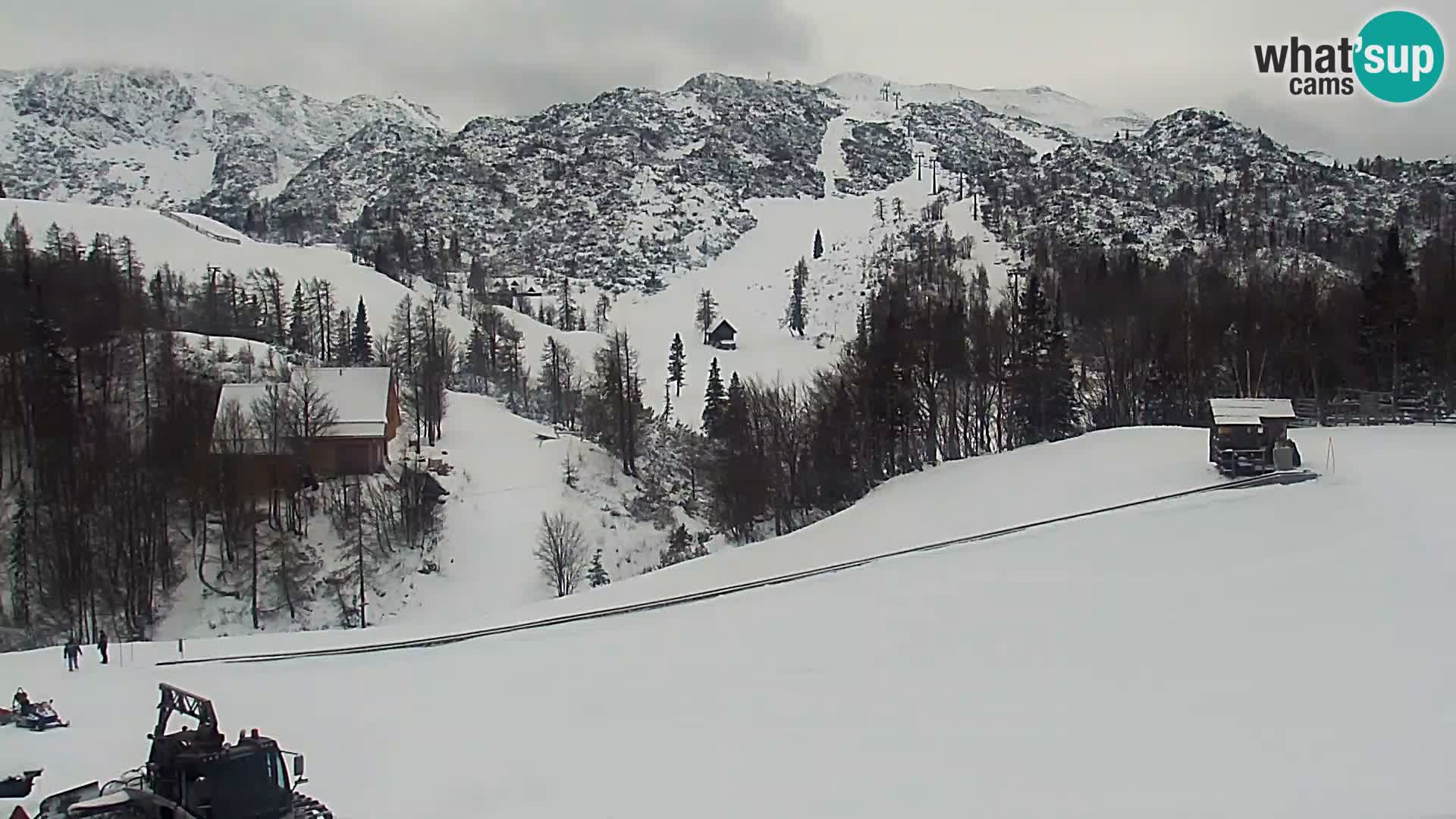 Webcam Skigebiet Vogel