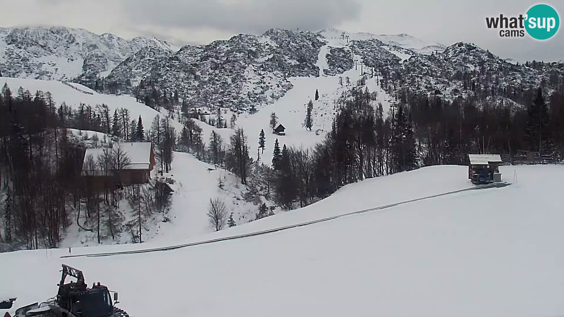 Webcam Ski resort Vogel