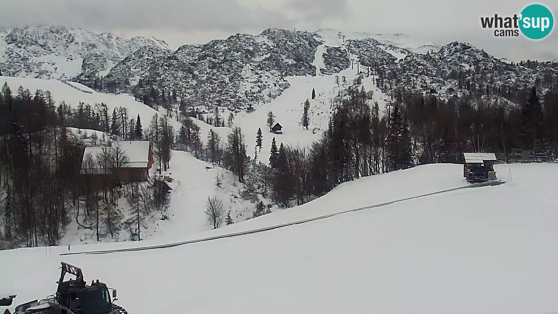 Webcam Ski resort Vogel