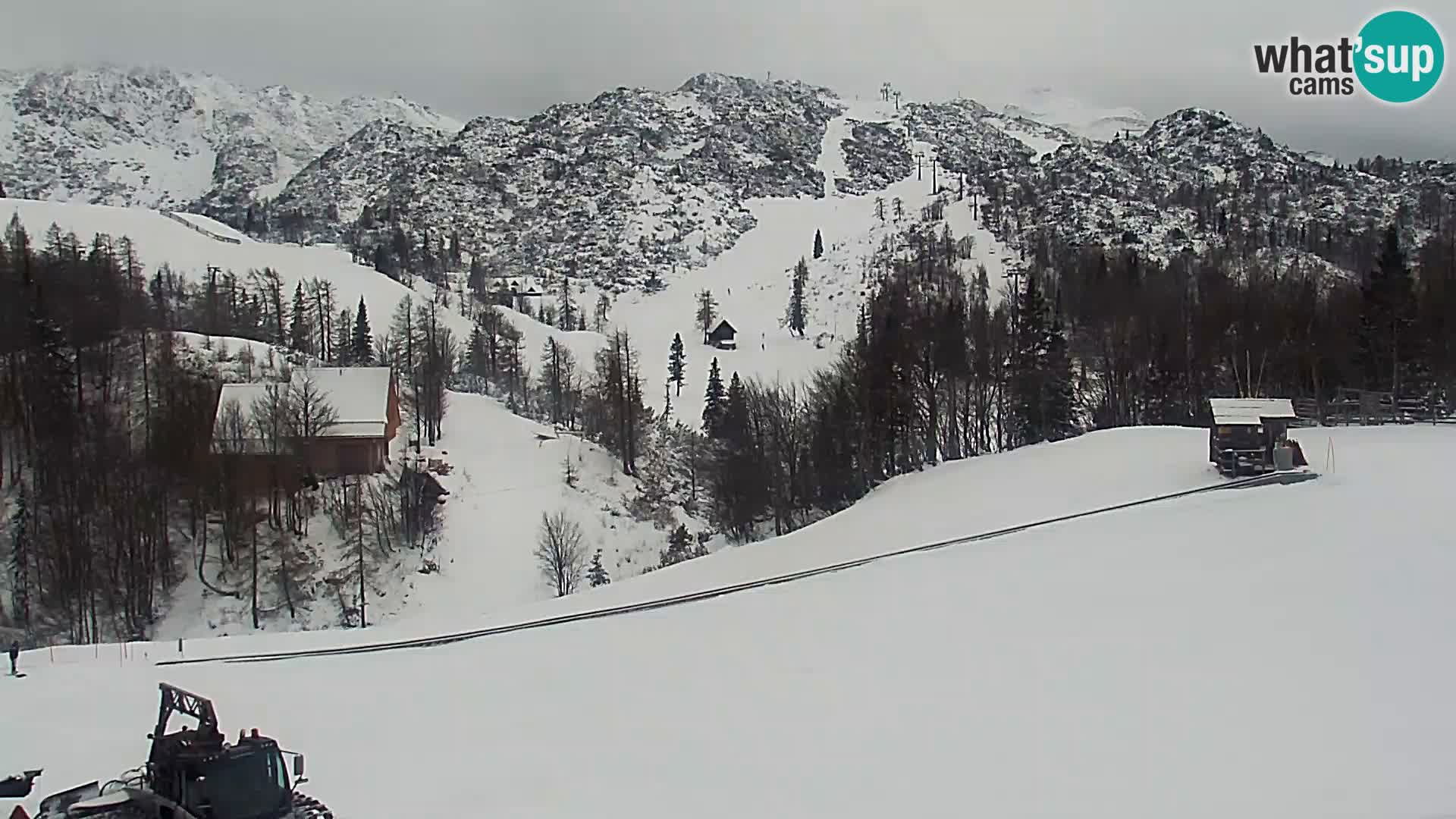 Webcam Skigebiet Vogel