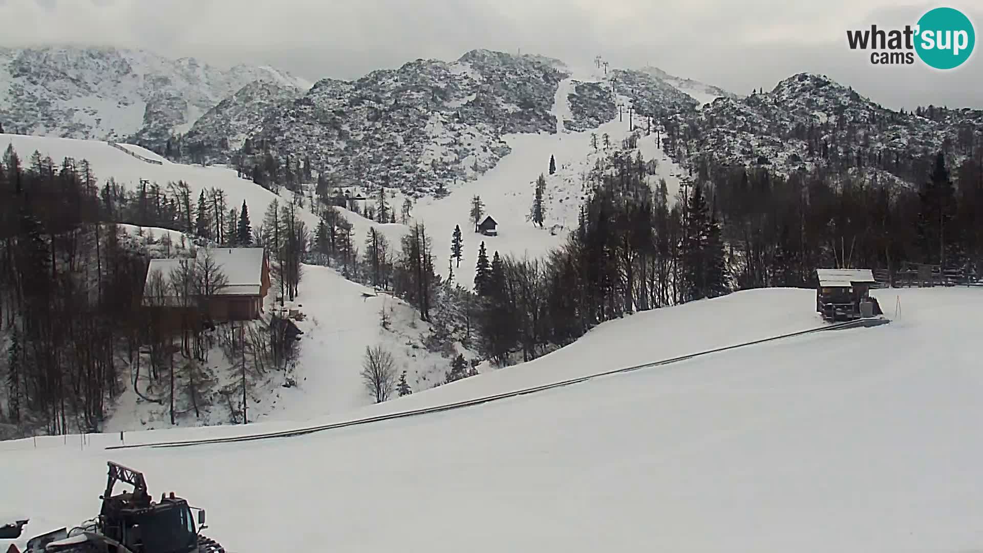 Webcam Skigebiet Vogel