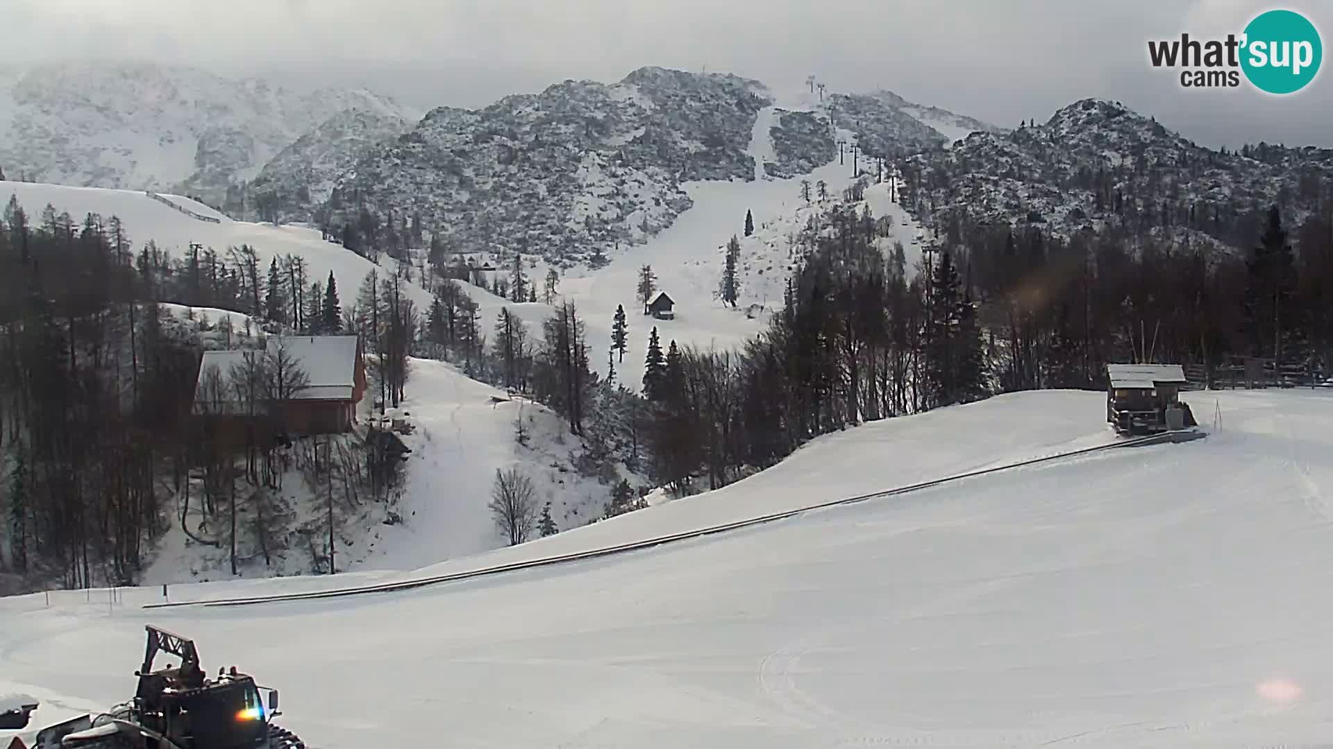 Webcam Skigebiet Vogel