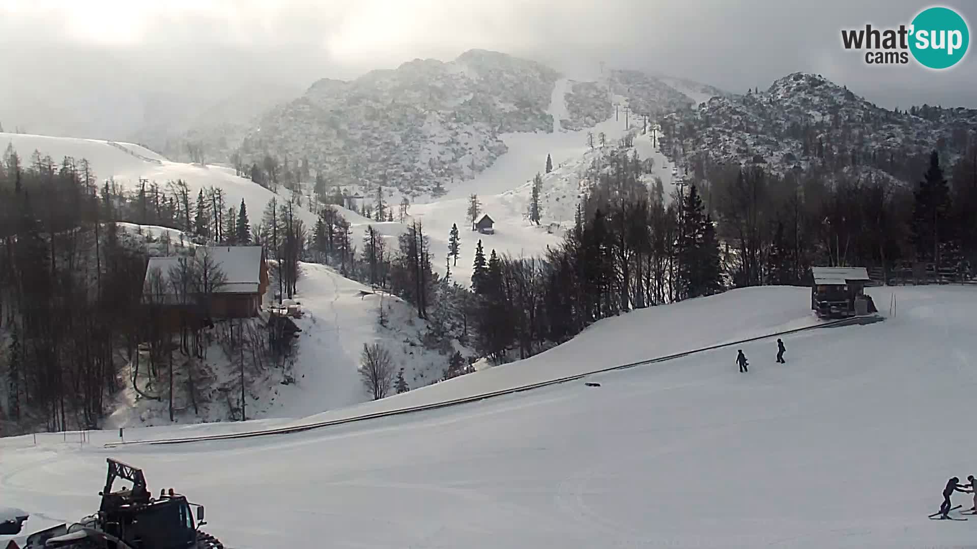 Webcam Skigebiet Vogel