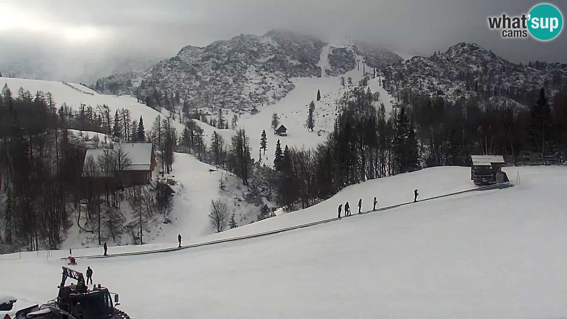 Webcam Skigebiet Vogel