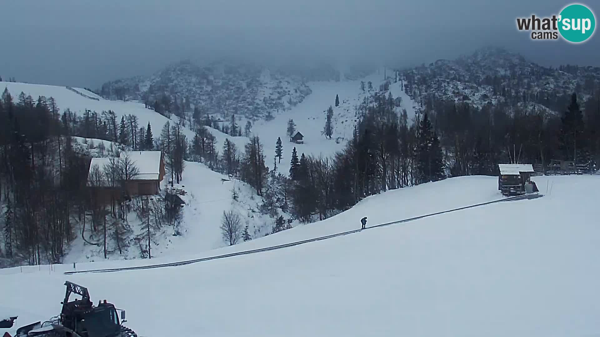 Webcam Skigebiet Vogel