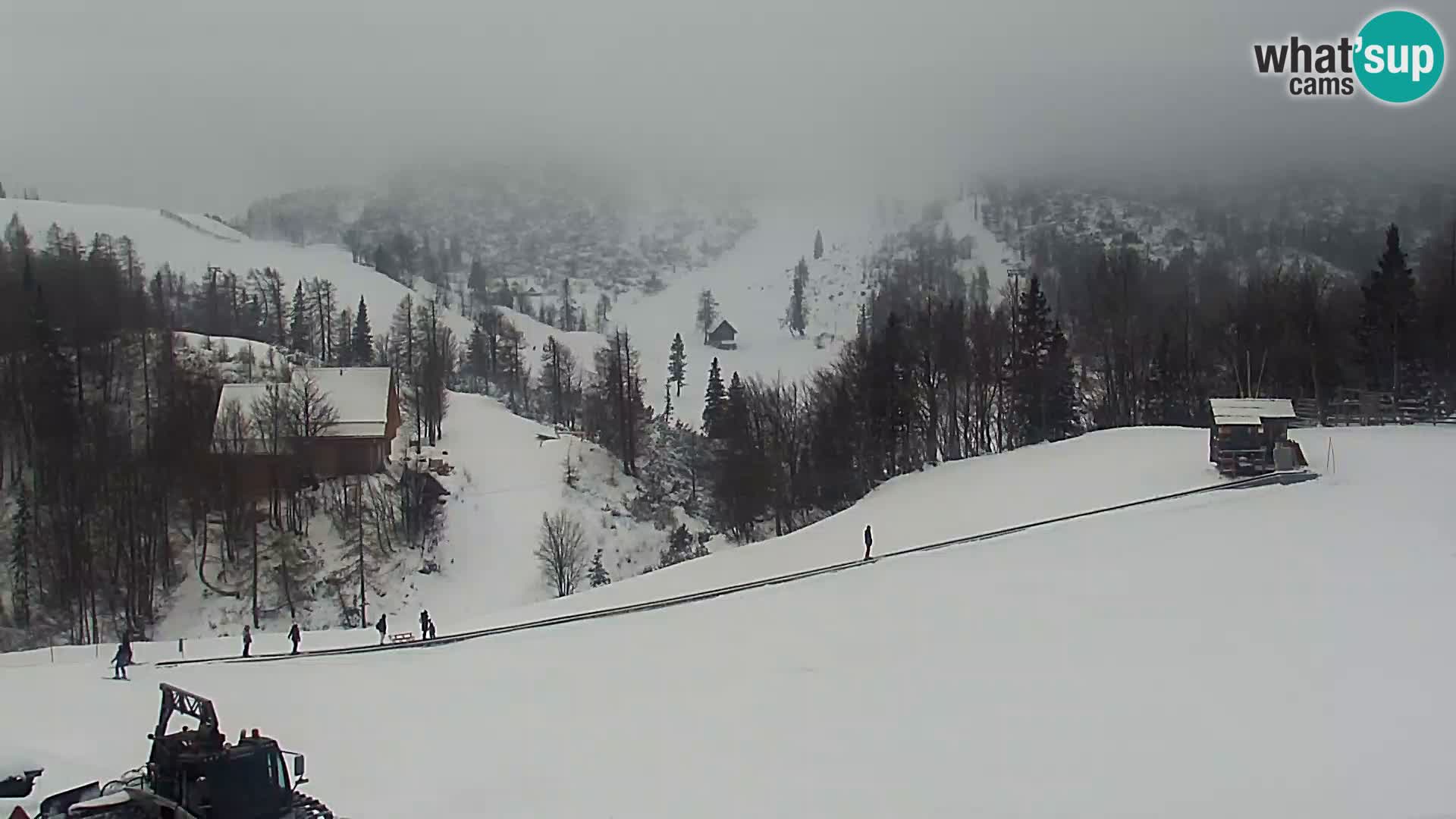 Webcam Skigebiet Vogel