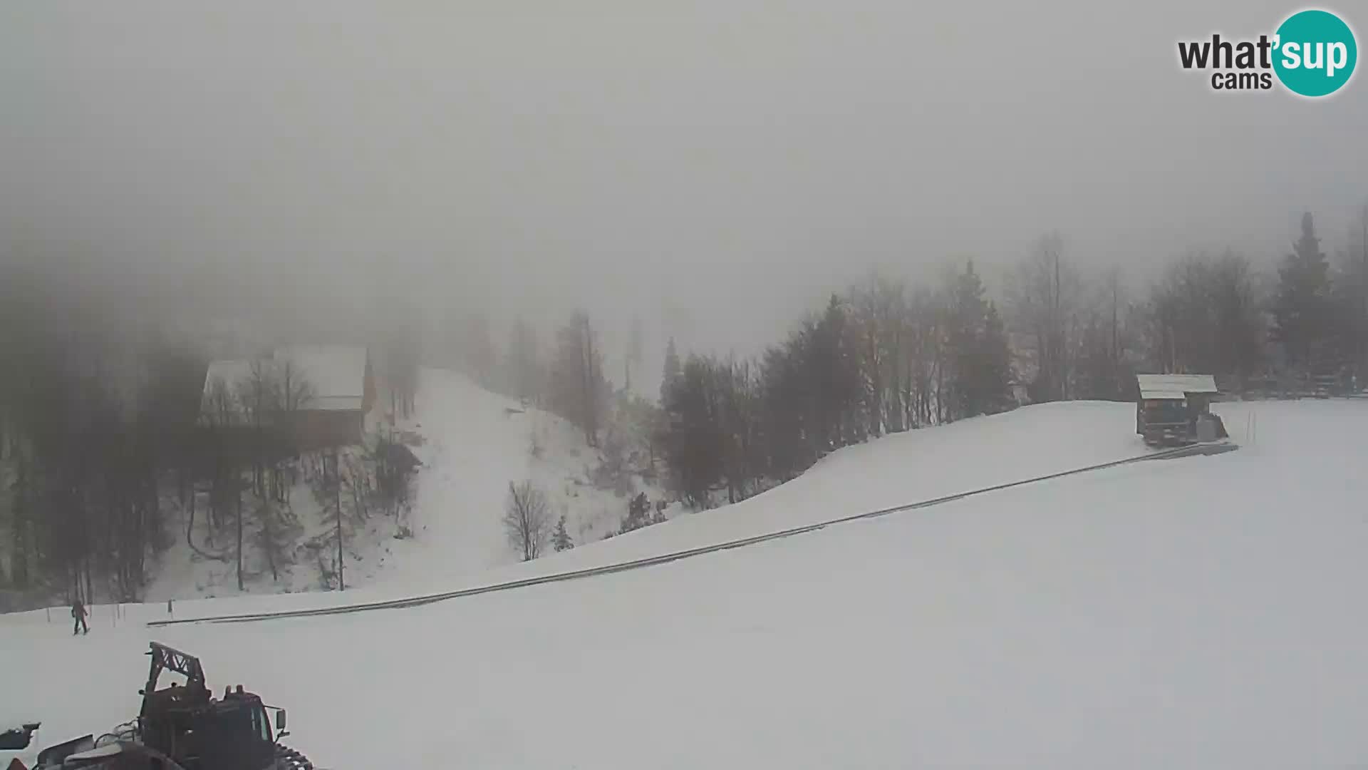 Live cam Station ski Vogel