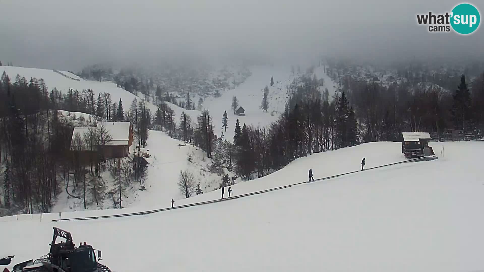 Webcam Ski resort Vogel