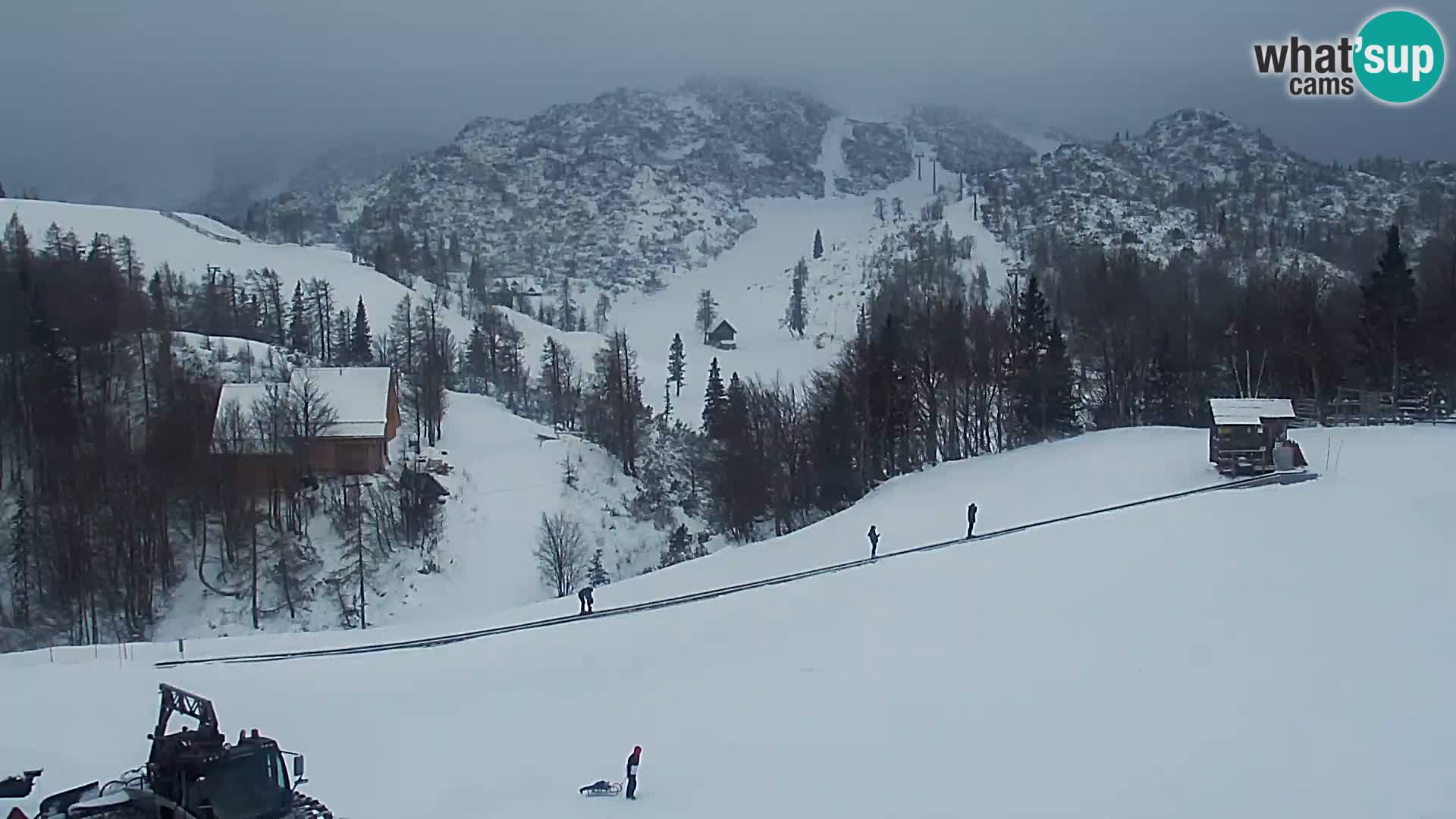 Live cam Station ski Vogel