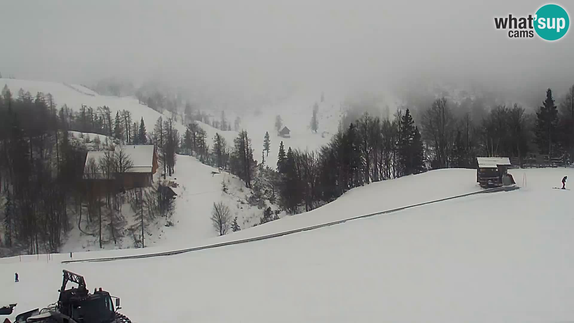 Live cam Station ski Vogel