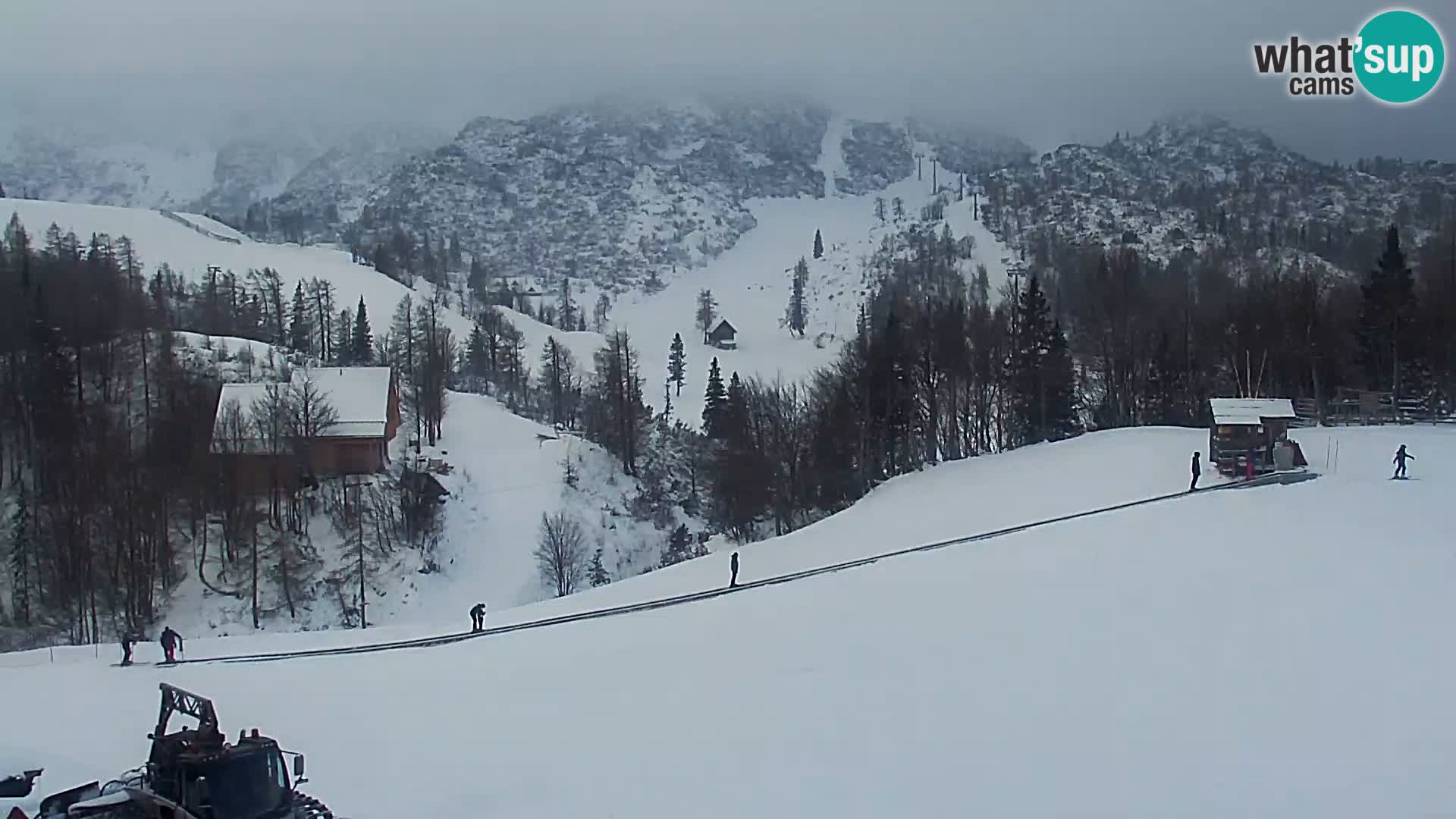 Live cam Station ski Vogel