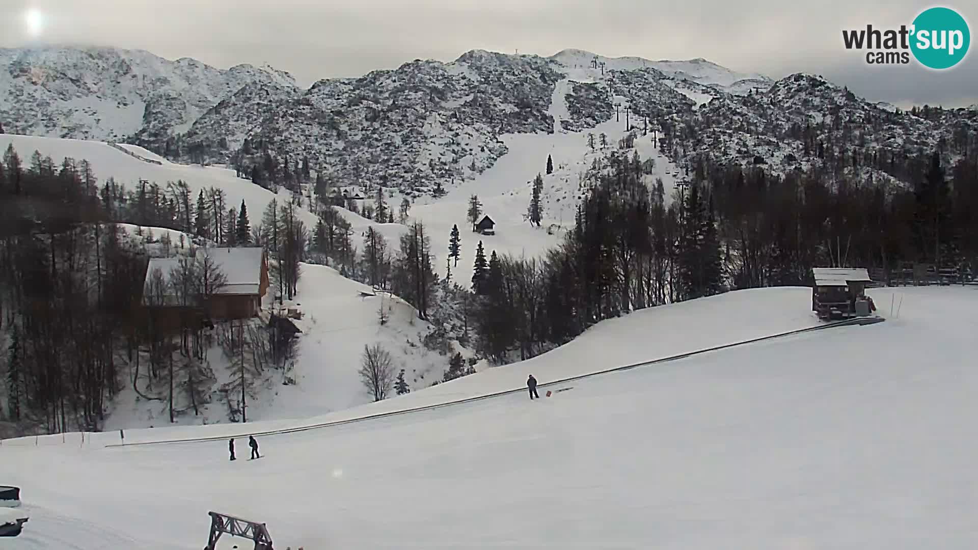 Webcam Ski resort Vogel