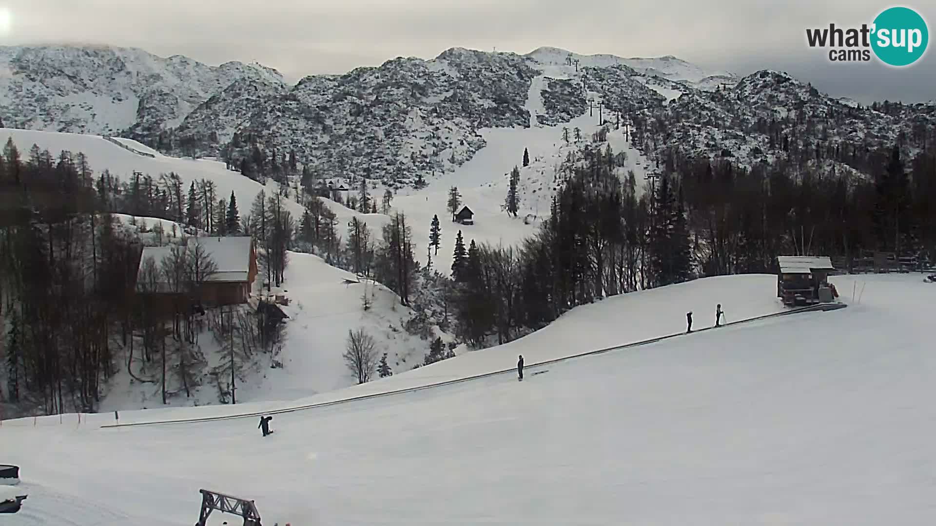 Live cam Station ski Vogel