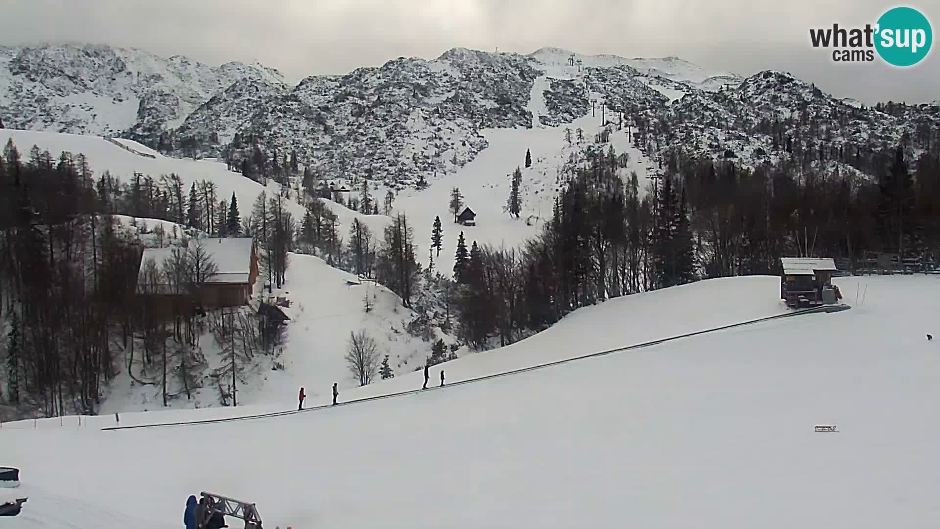 Live cam Station ski Vogel