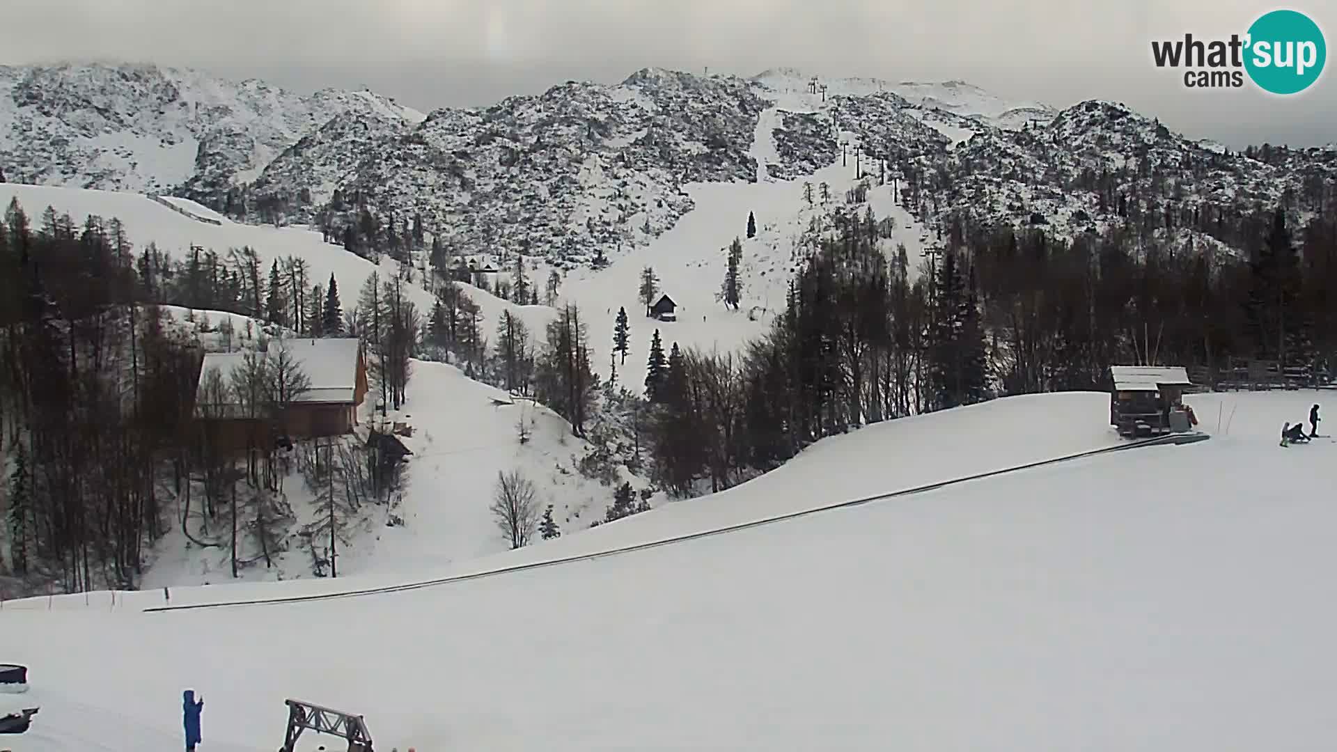 Live cam Station ski Vogel