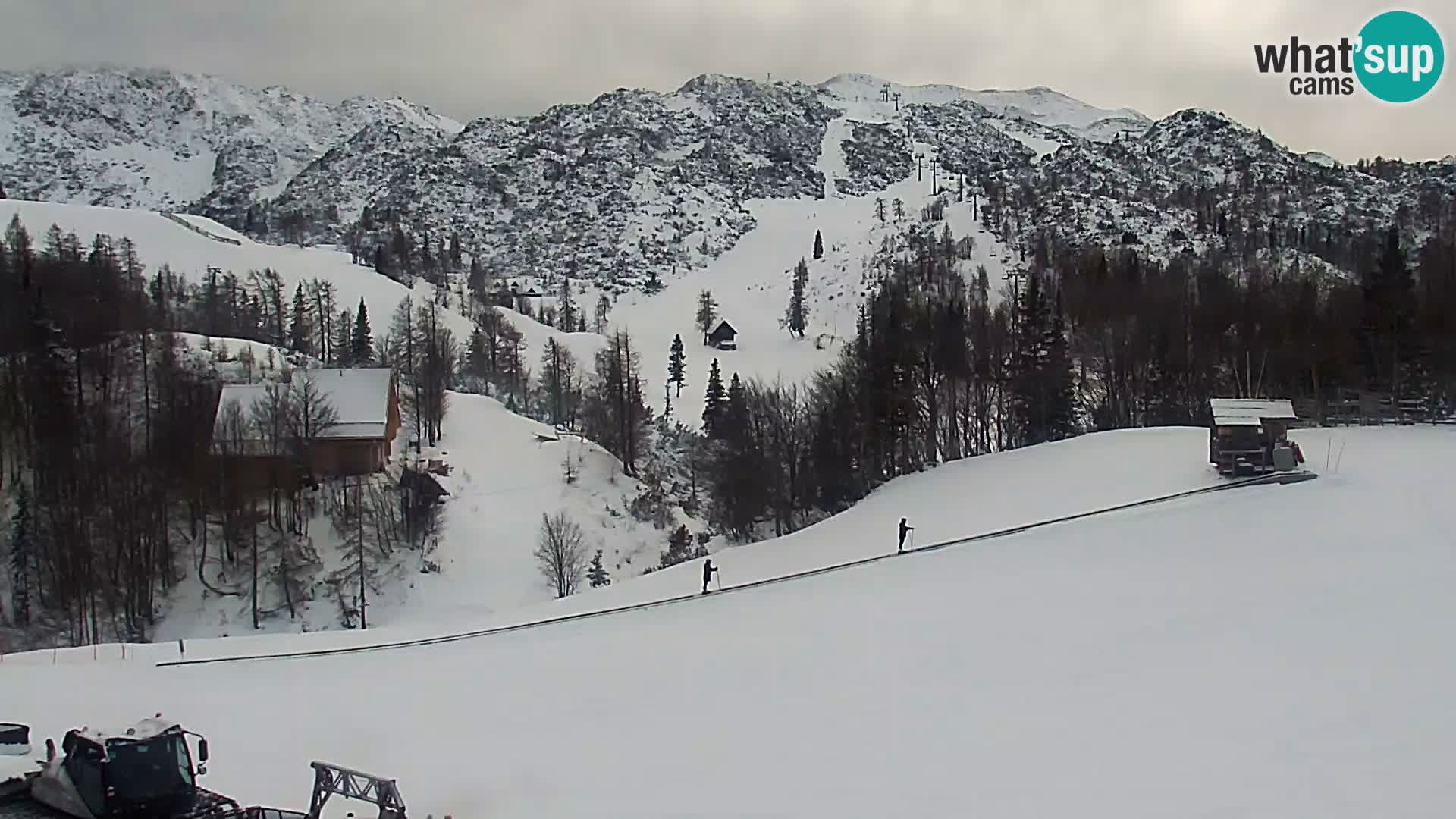 Live cam Station ski Vogel