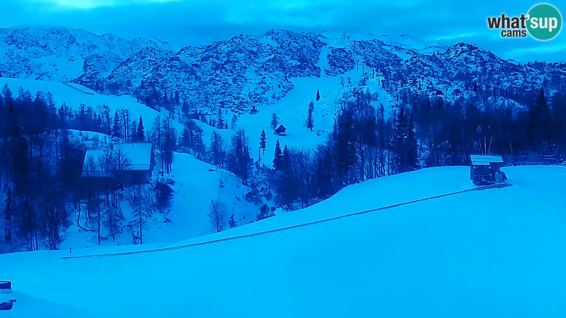 Webcam Ski resort Vogel