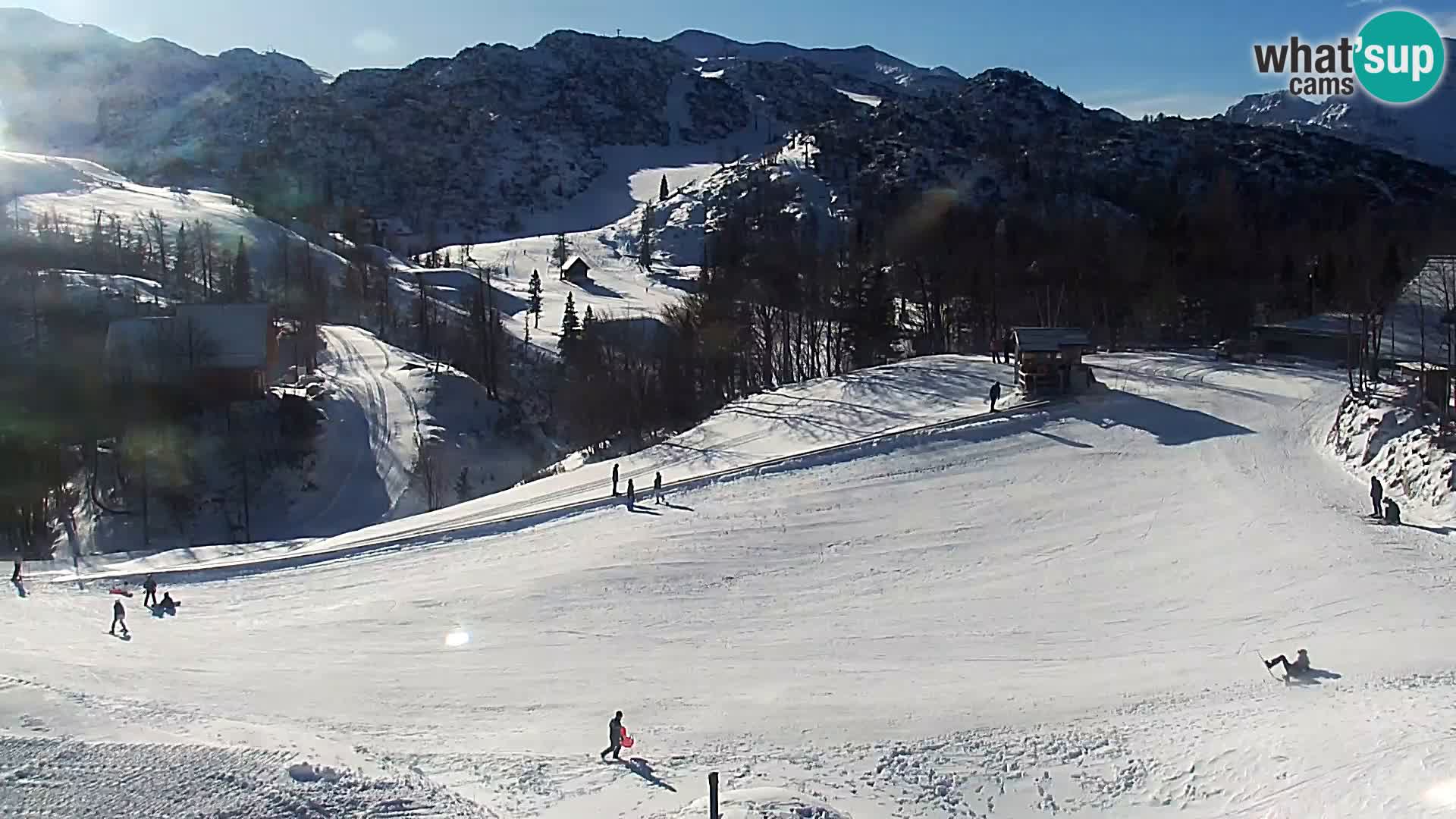 Webcam Ski resort Vogel