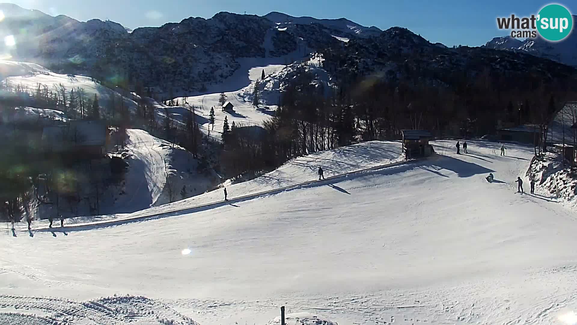 Webcam Ski resort Vogel