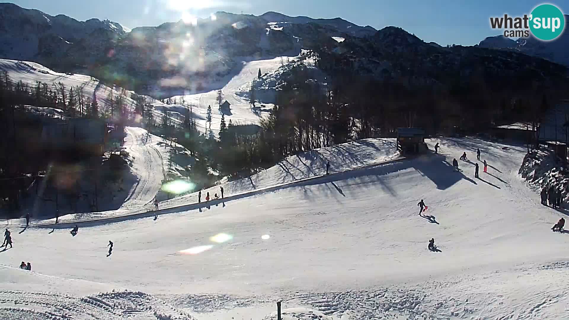 Live cam Station ski Vogel