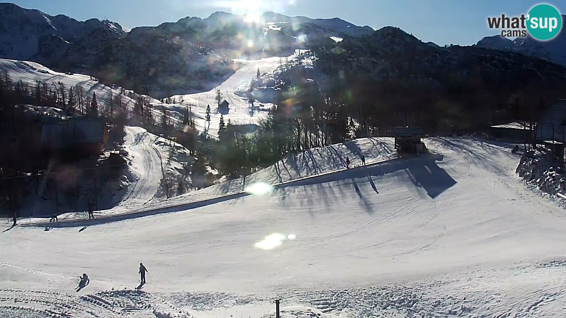 Live cam Station ski Vogel