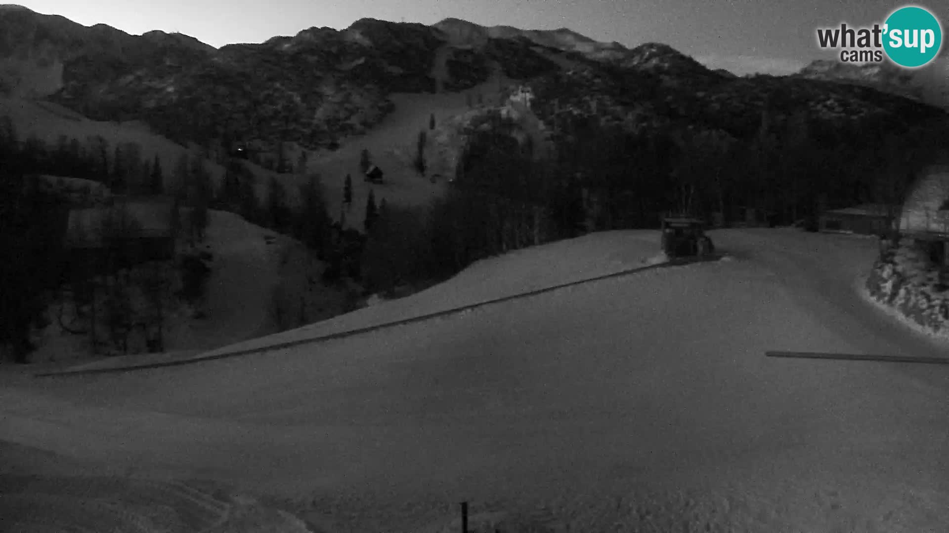 Live cam Station ski Vogel