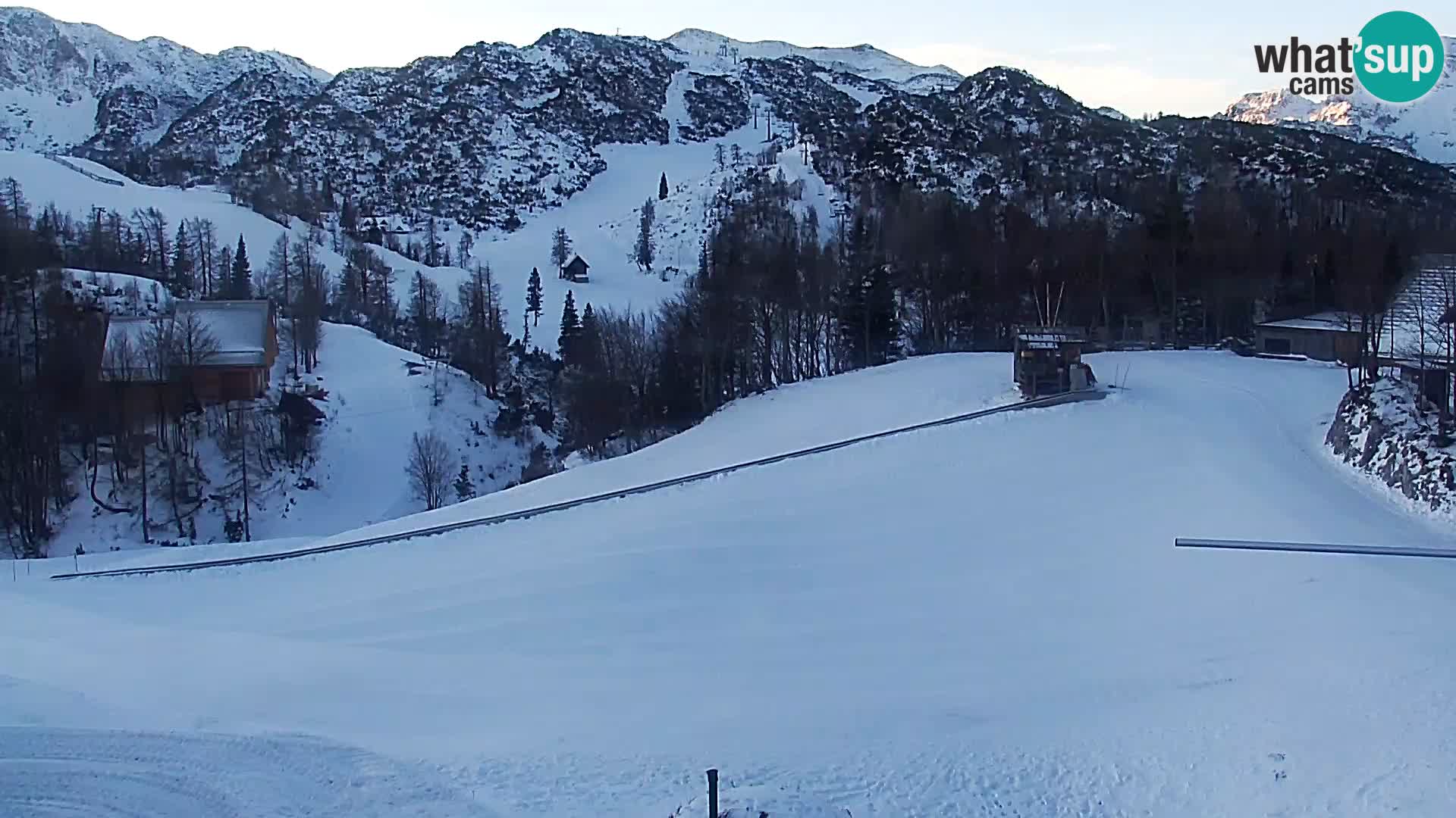 Live cam Station ski Vogel