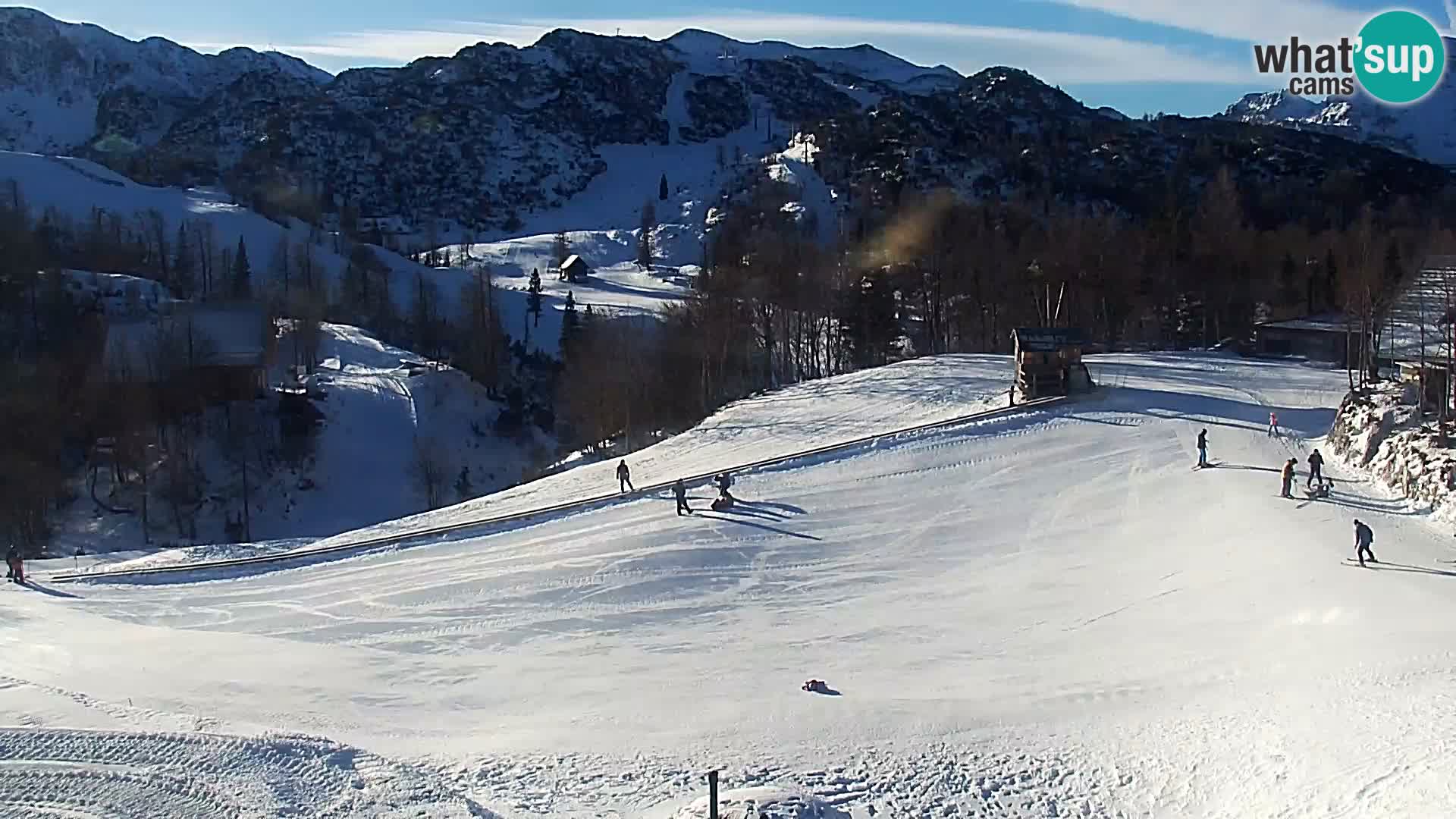 Live cam Station ski Vogel