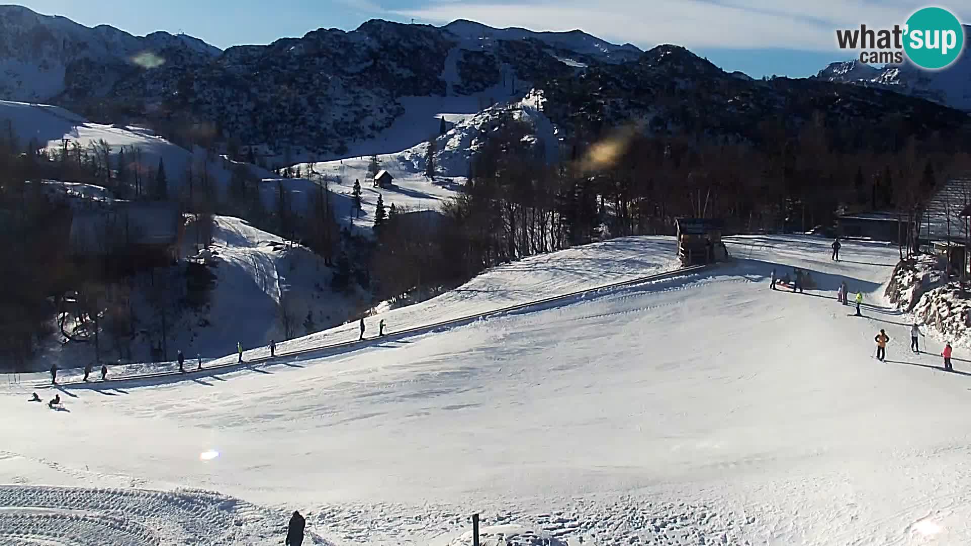 Webcam Ski resort Vogel