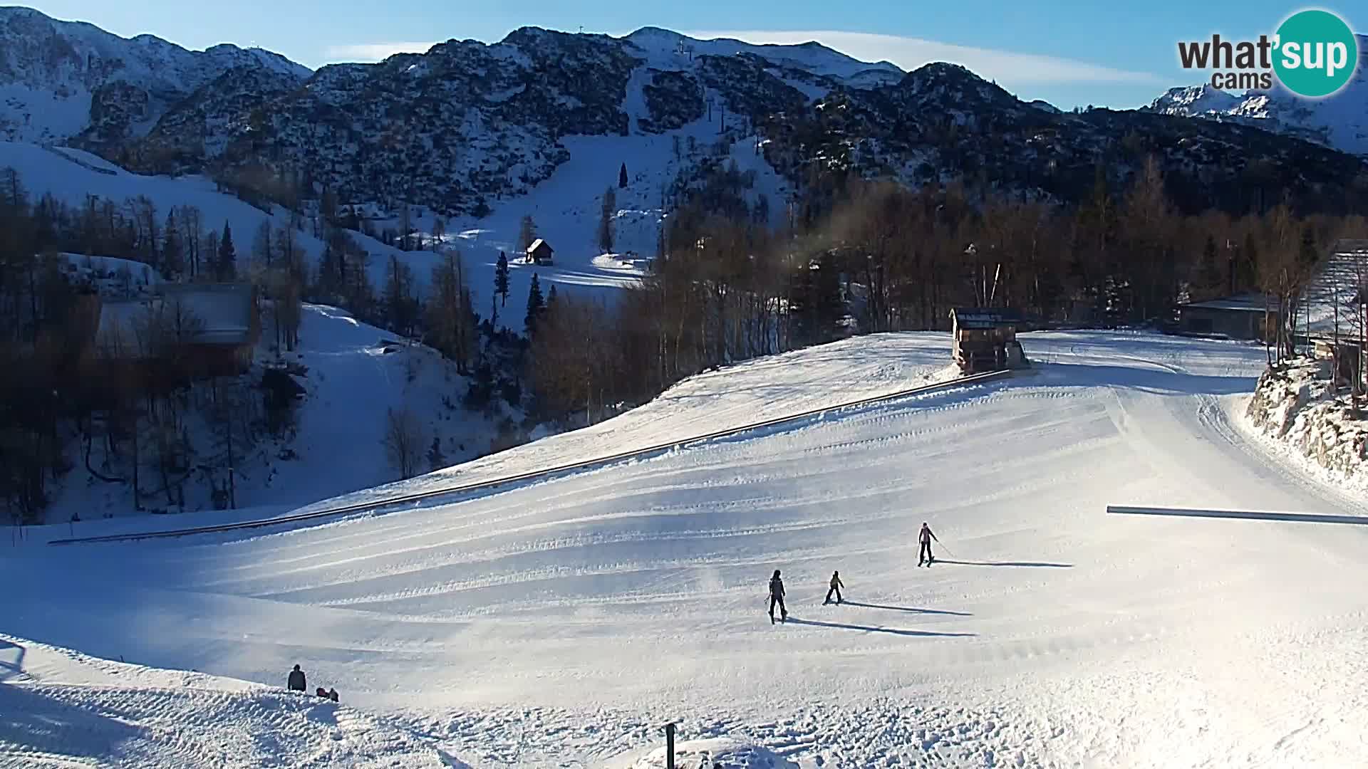 Live cam Station ski Vogel