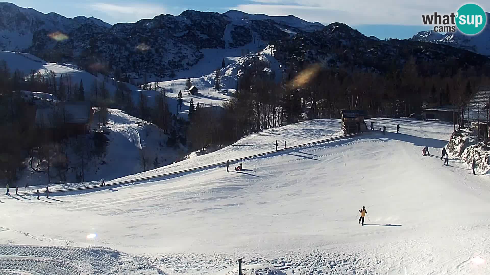 Live cam Station ski Vogel