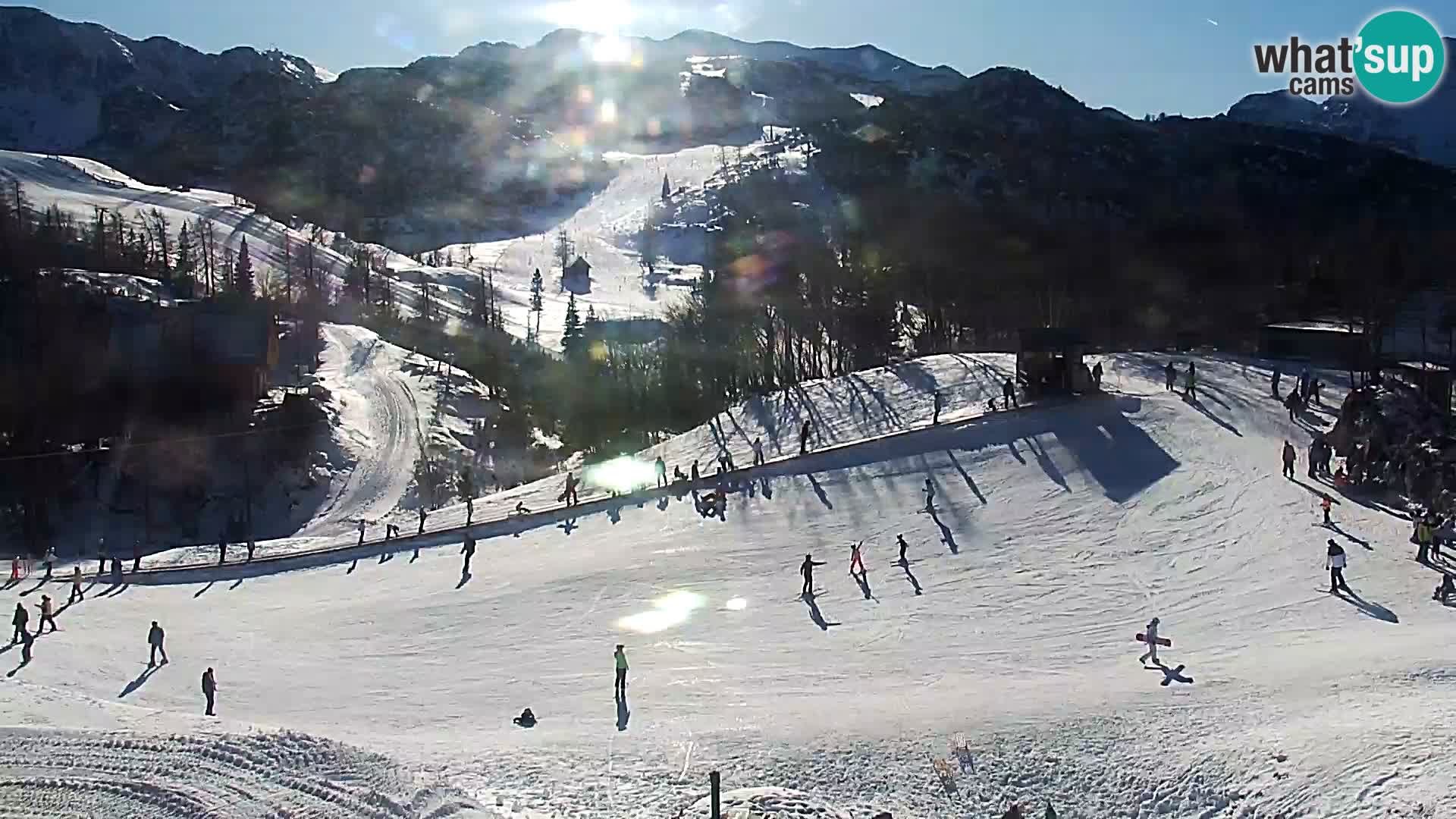 Webcam Ski resort Vogel